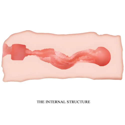 - Jane Masturbador Vagina 13.5 Cm