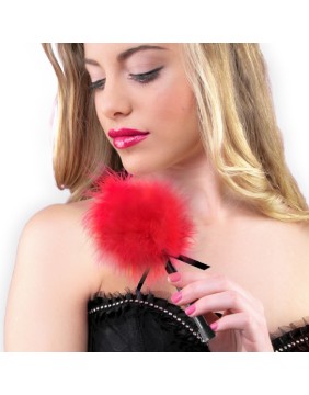 Sensual Feathers for Teasing