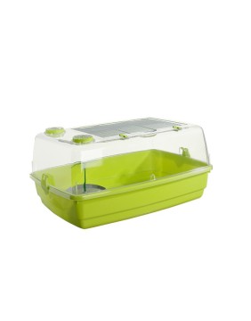 Tienda de Reptiles Online
