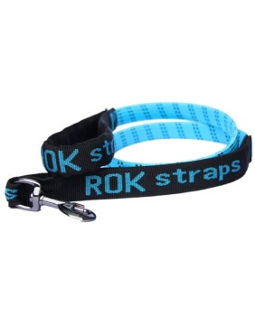 Collars, Leashes, and Harnesses for Dogs