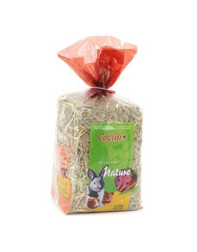 Hays for Rodents and Ferrets