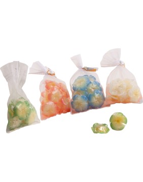 Candles and Fragrance Collection