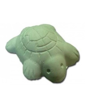 Salud e Higiene para Reptiles