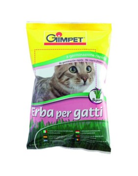 Productos de Salud e Higiene para Gatos
