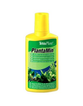 Plant Care for Fish