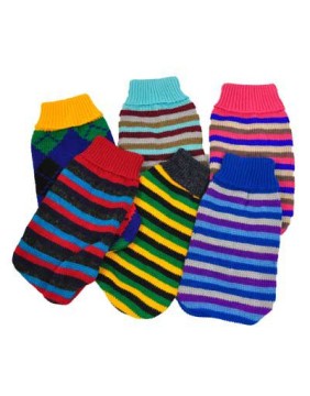 Dog Clothing and Accessories