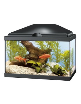 Fish Aquariums and Tanks