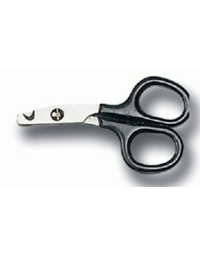 Cats Brushes and Nail Clipping