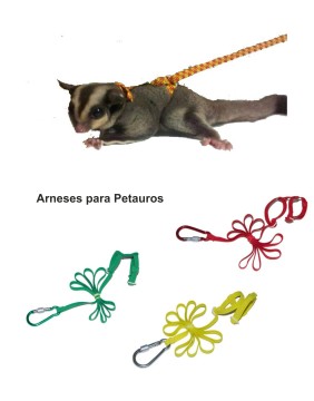 Accesorios para Roedores y Hurones Online
