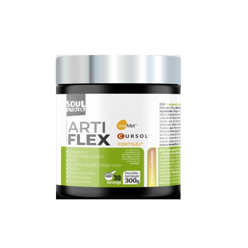 Artiflex | Joint Protector and Anti-Inflammatory | 300g