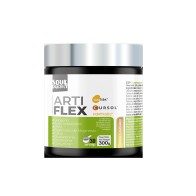 Artiflex | Joint Protector and Anti-Inflammatory | 300g